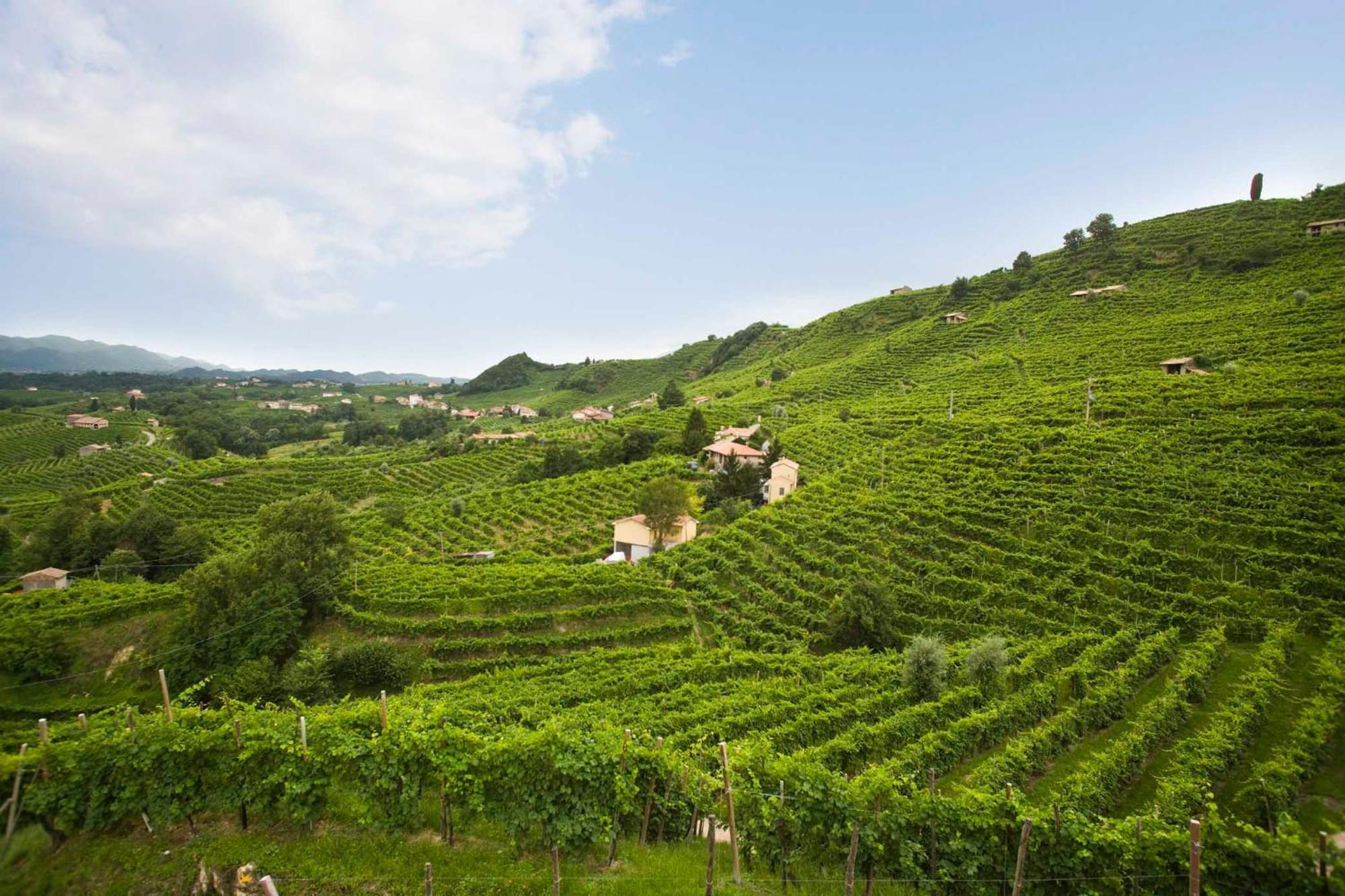Antica Rinaldo Appartement Valdobbiadene Buitenkant foto